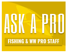 Ask A Pro